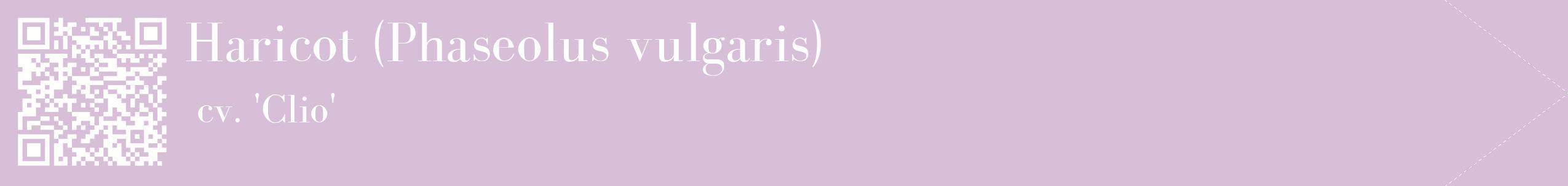 étiquette 2