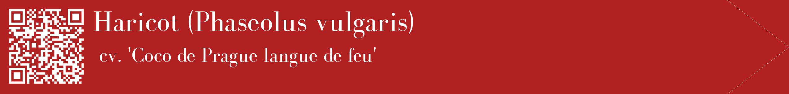 étiquette 2