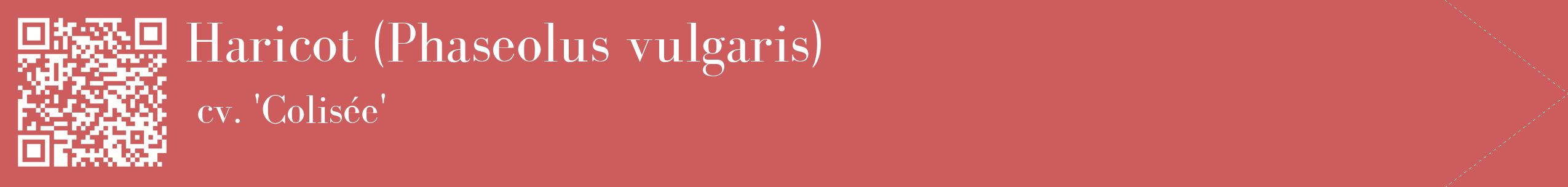 étiquette 2
