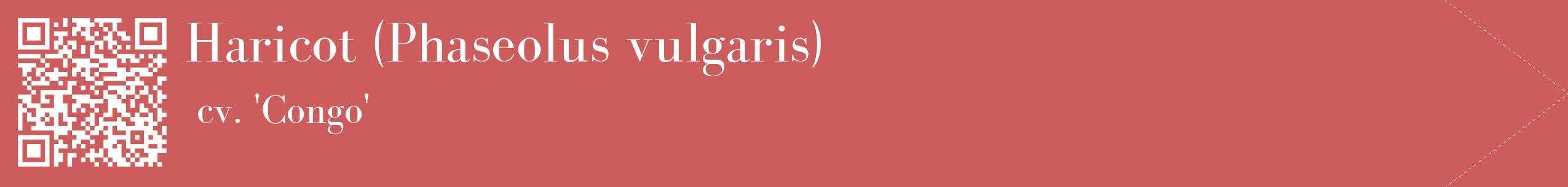 étiquette 2