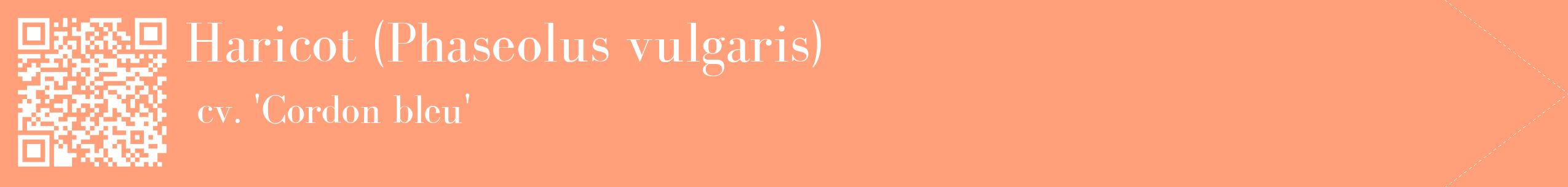 étiquette 2