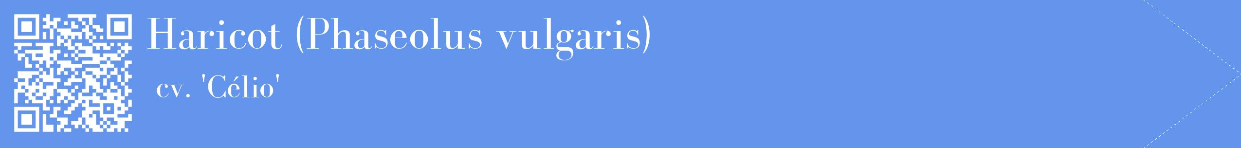 étiquette 2