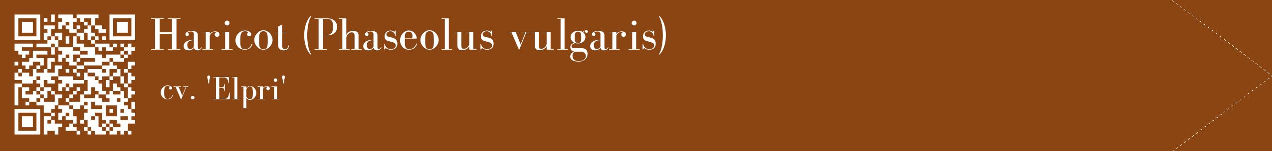 étiquette 2