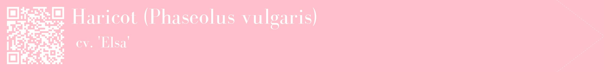 étiquette 2