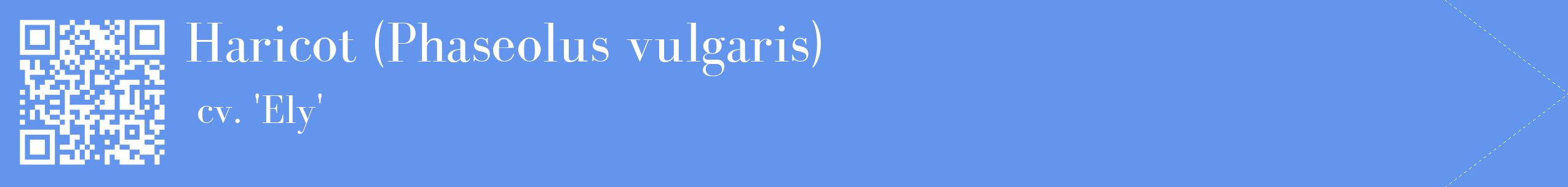 étiquette 2