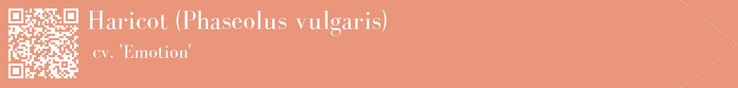 étiquette 2