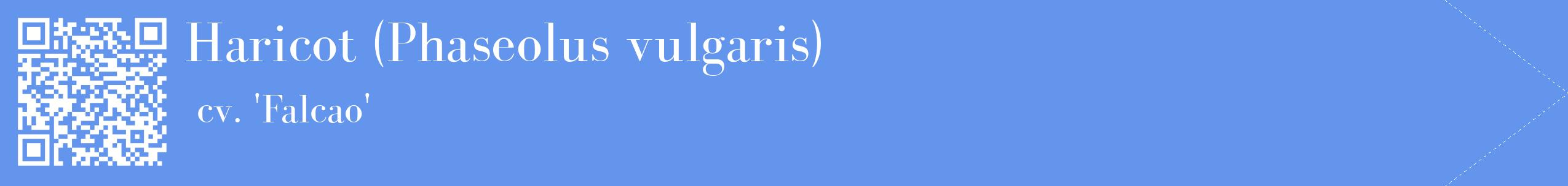 étiquette 2