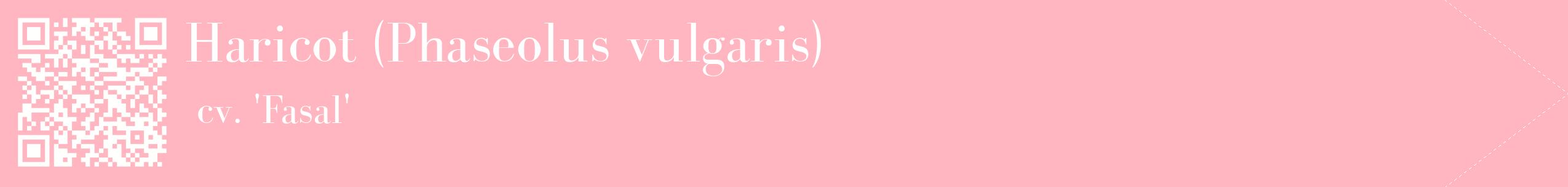 étiquette 2