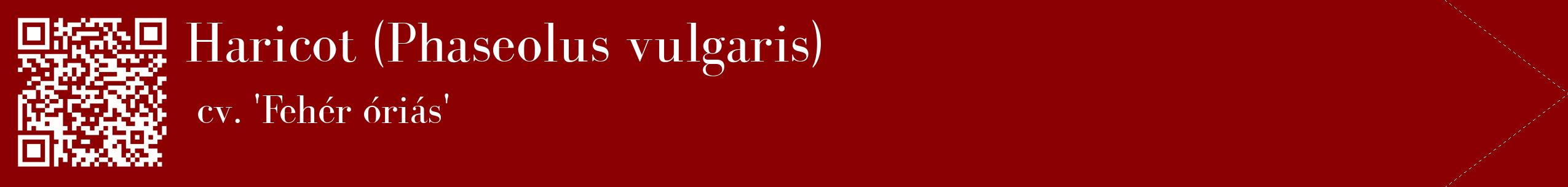 étiquette 2
