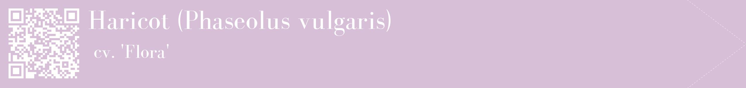étiquette 2