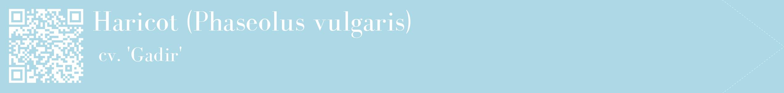 étiquette 2