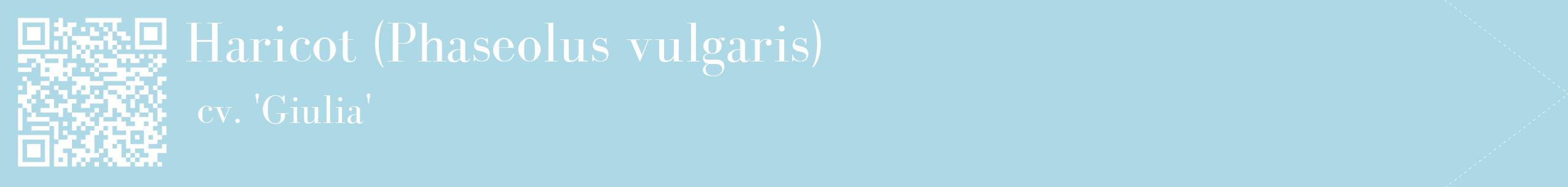 étiquette 2