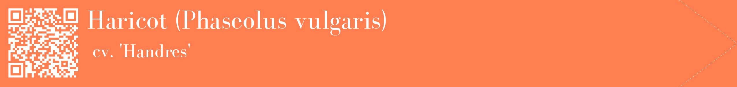 étiquette 2