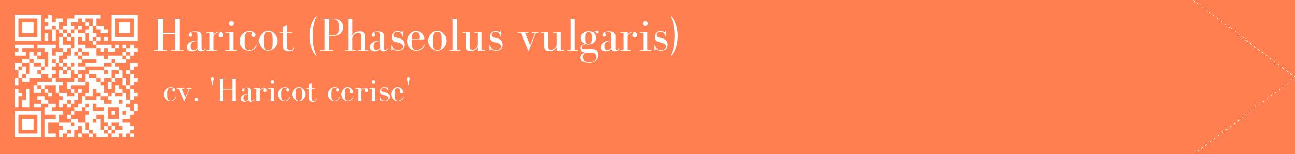 étiquette 2