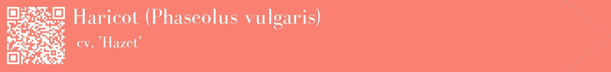 étiquette 2