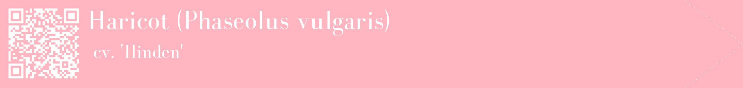 étiquette 2