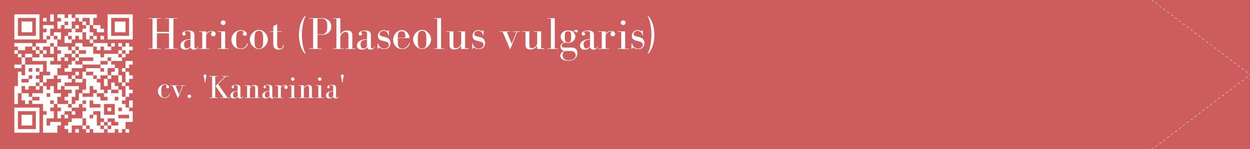 étiquette 2