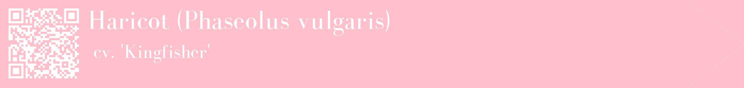 étiquette 2