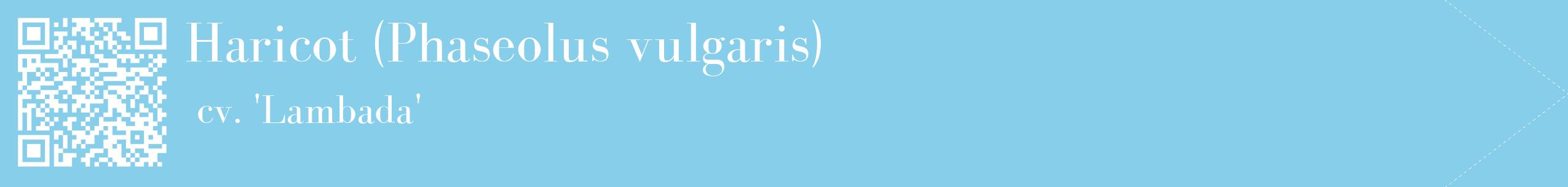 étiquette 2