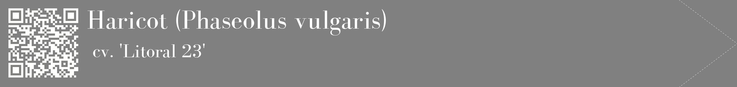 étiquette 2