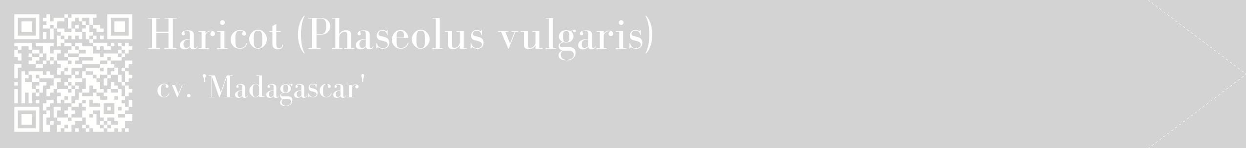 étiquette 2