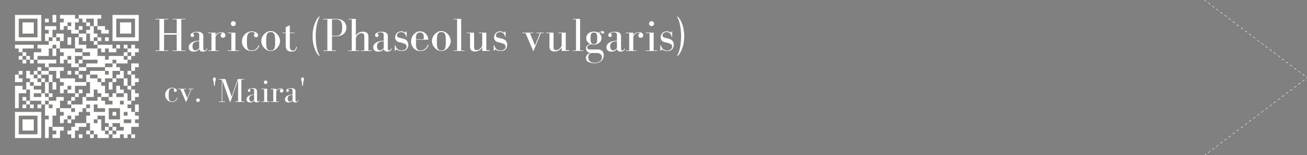 étiquette 2