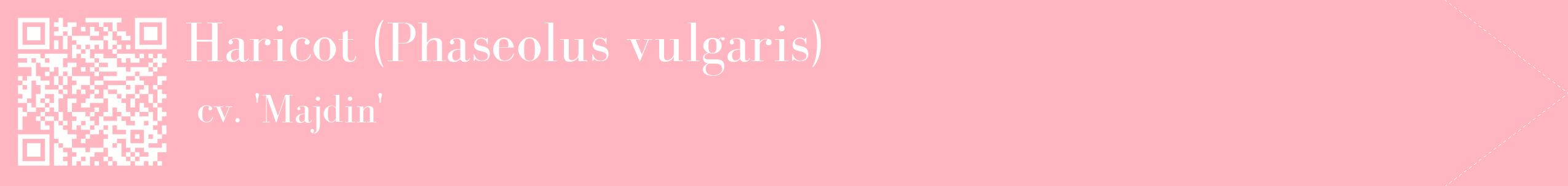 étiquette 2