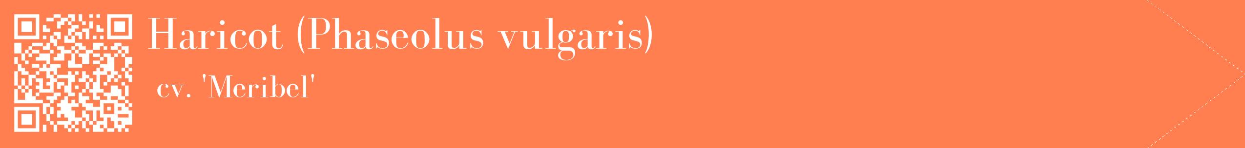 étiquette 2