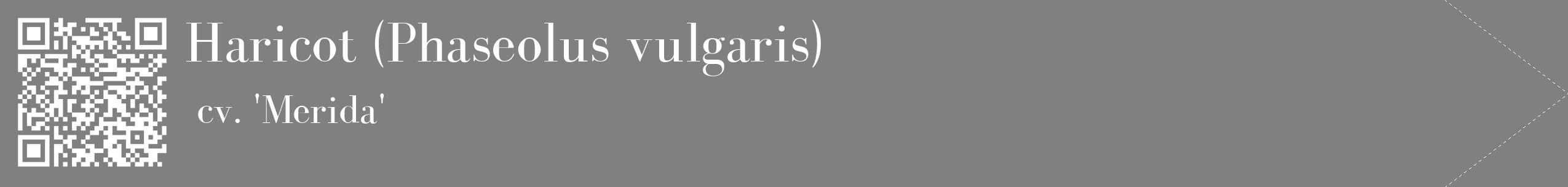 étiquette 2