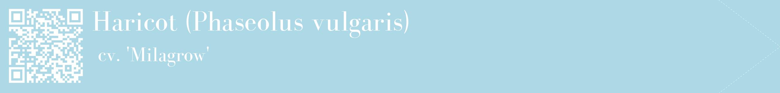 étiquette 2