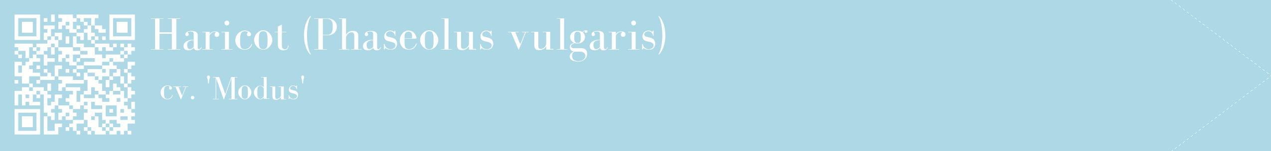 étiquette 2