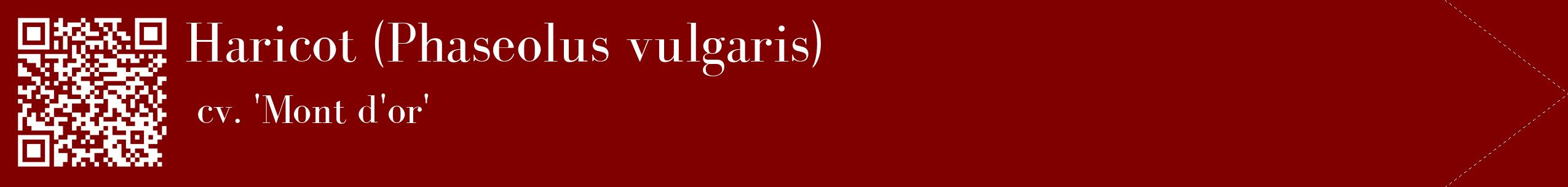 étiquette 2