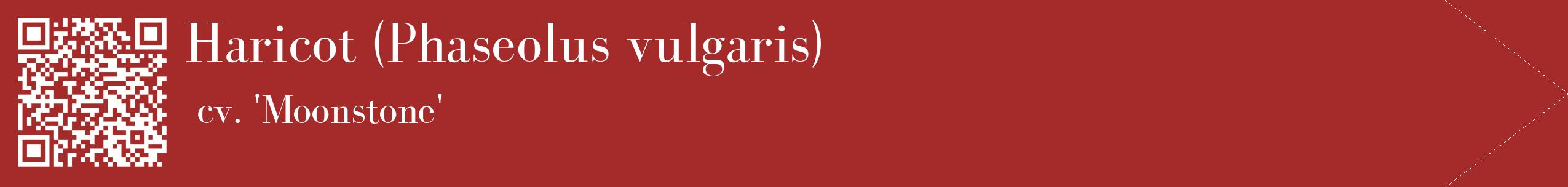 étiquette 2