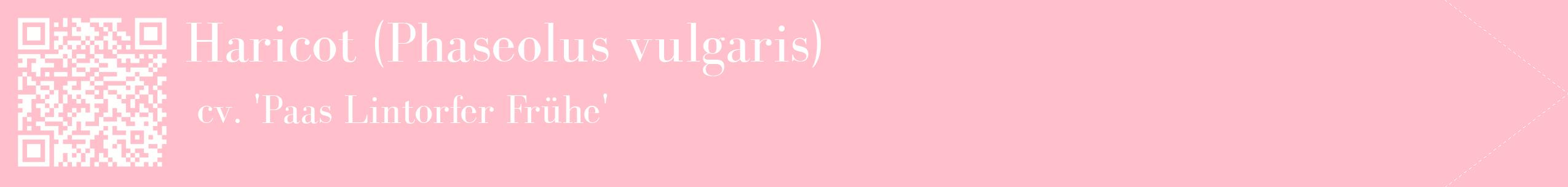 étiquette 2