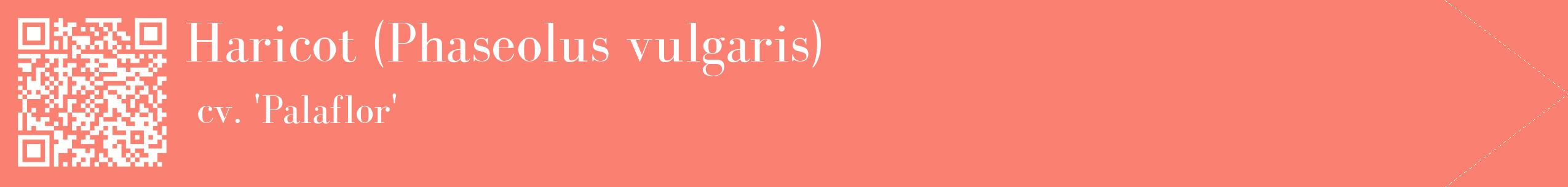 étiquette 2