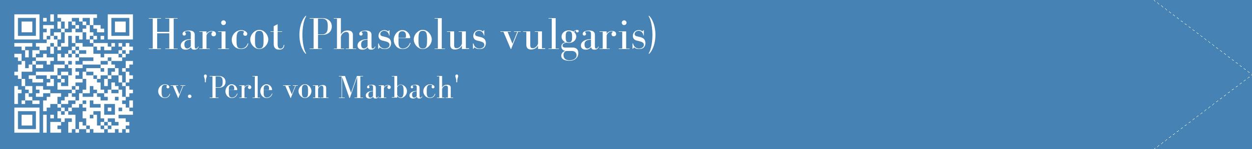 étiquette 2