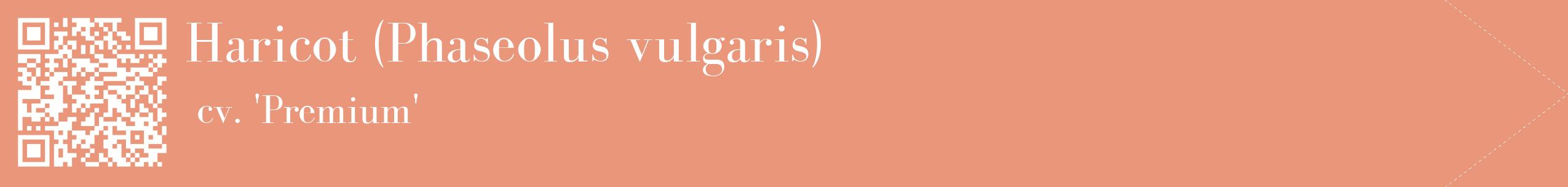 étiquette 2