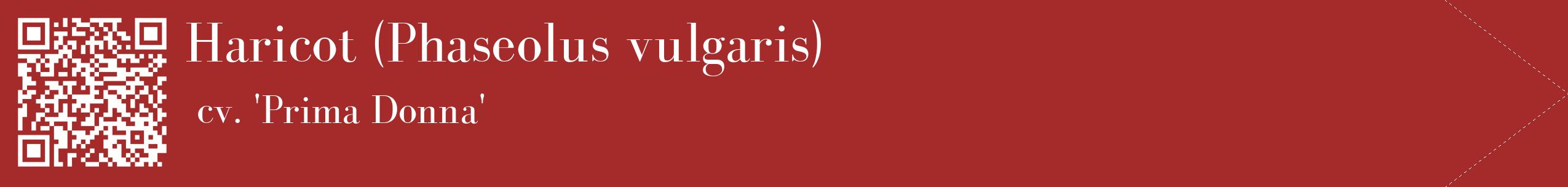 étiquette 2