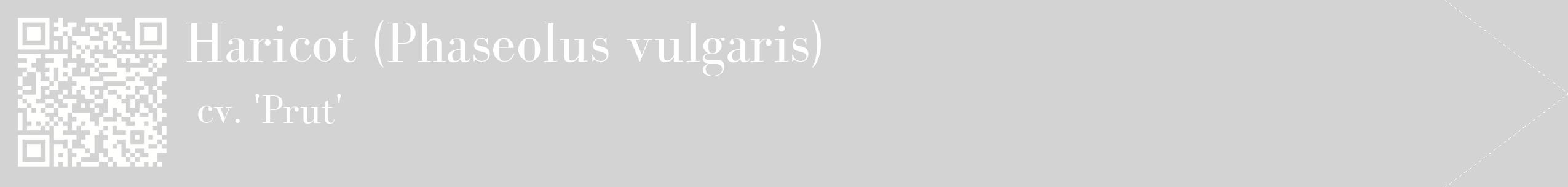 étiquette 2