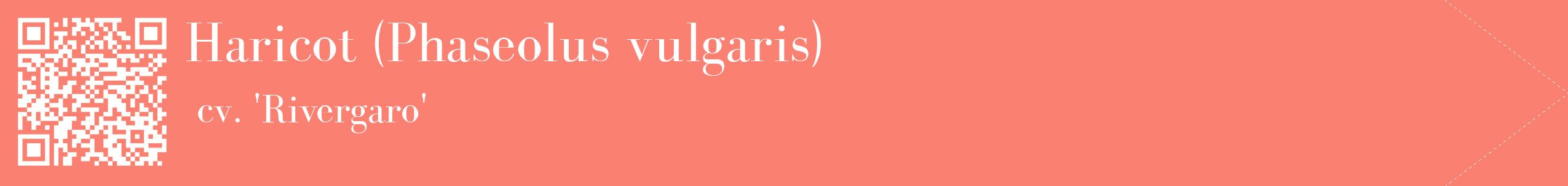 étiquette 2