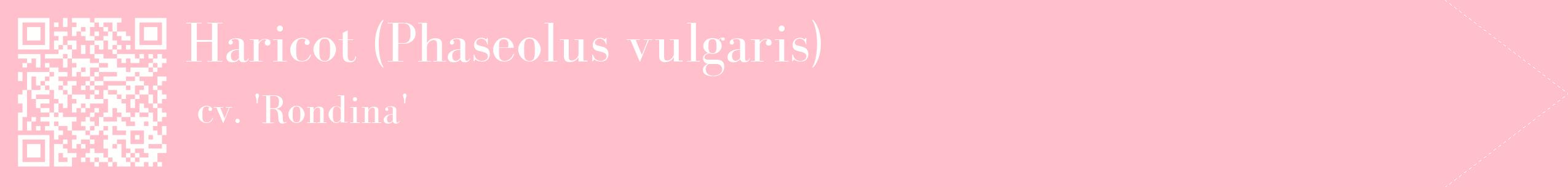 étiquette 2