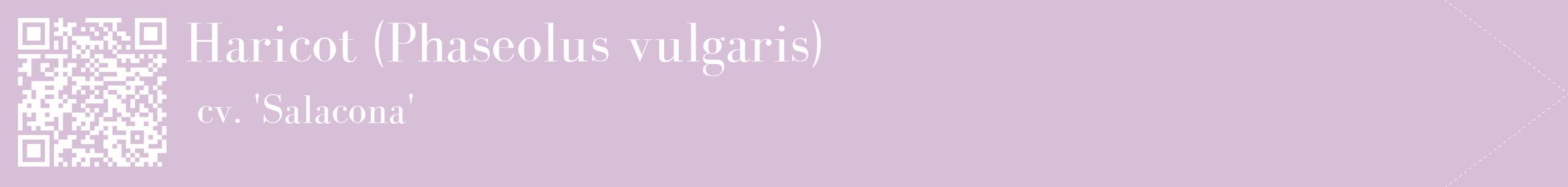 étiquette 2