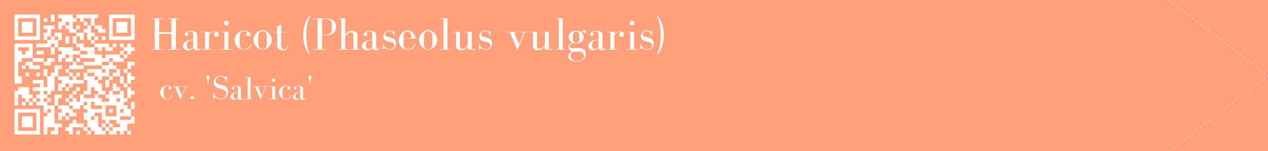 étiquette 2