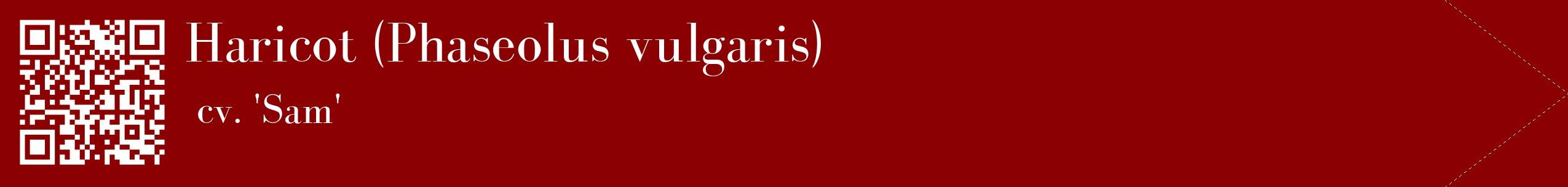 étiquette 2