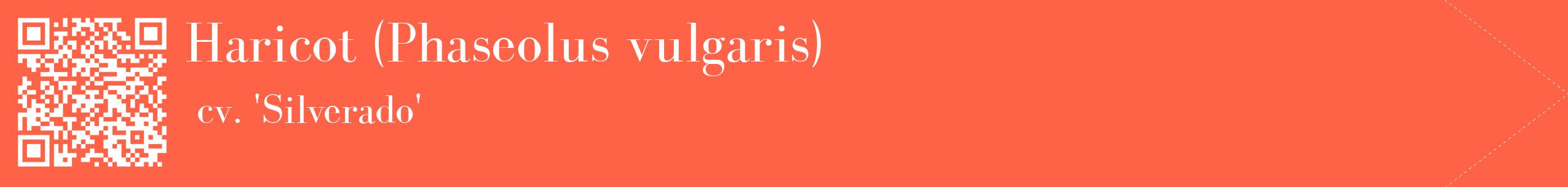 étiquette 2
