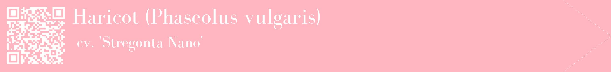 étiquette 2