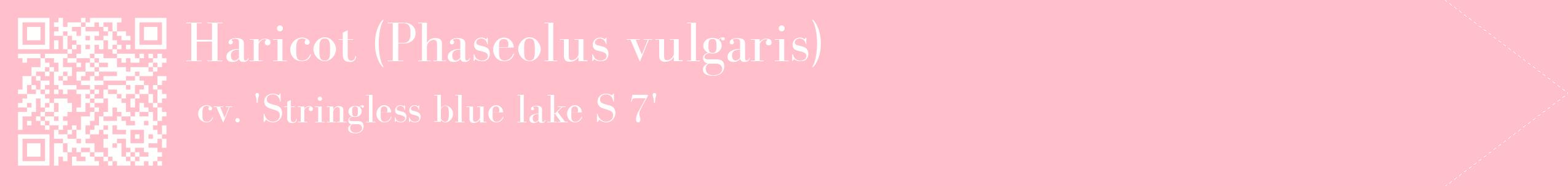 étiquette 2