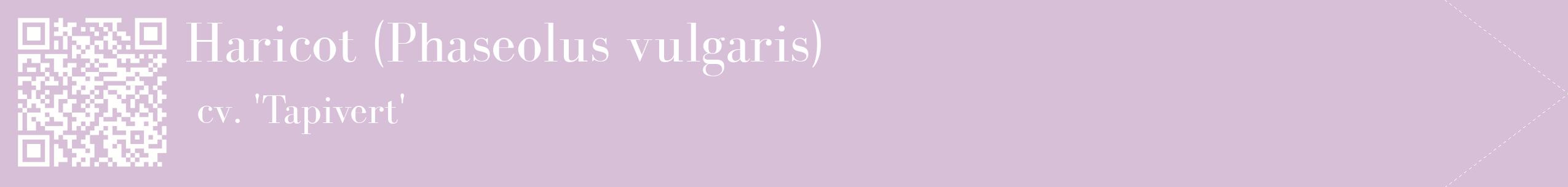 étiquette 2