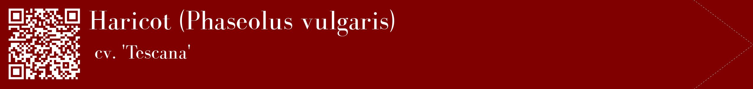 étiquette 2