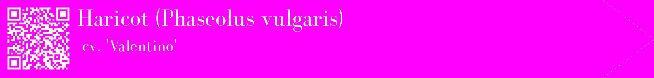 étiquette 2